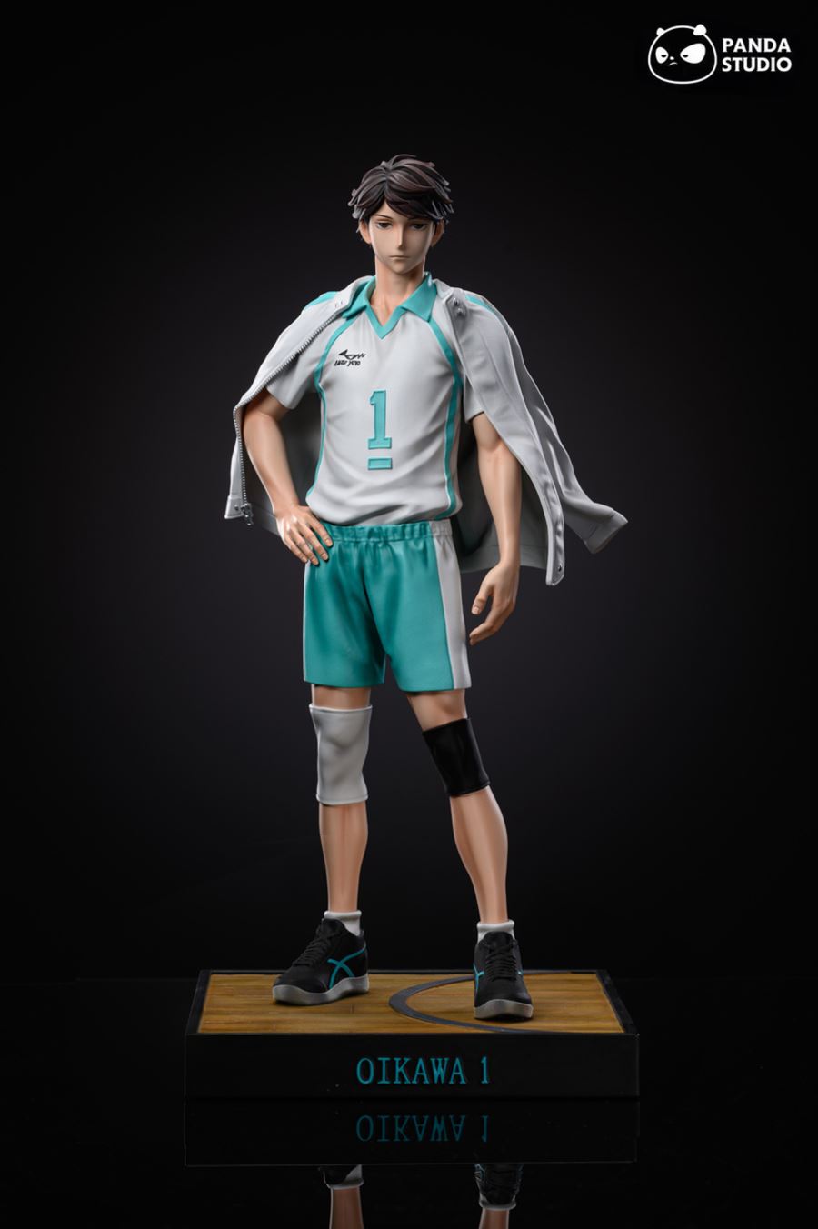 Oikawa Tooru 1/6