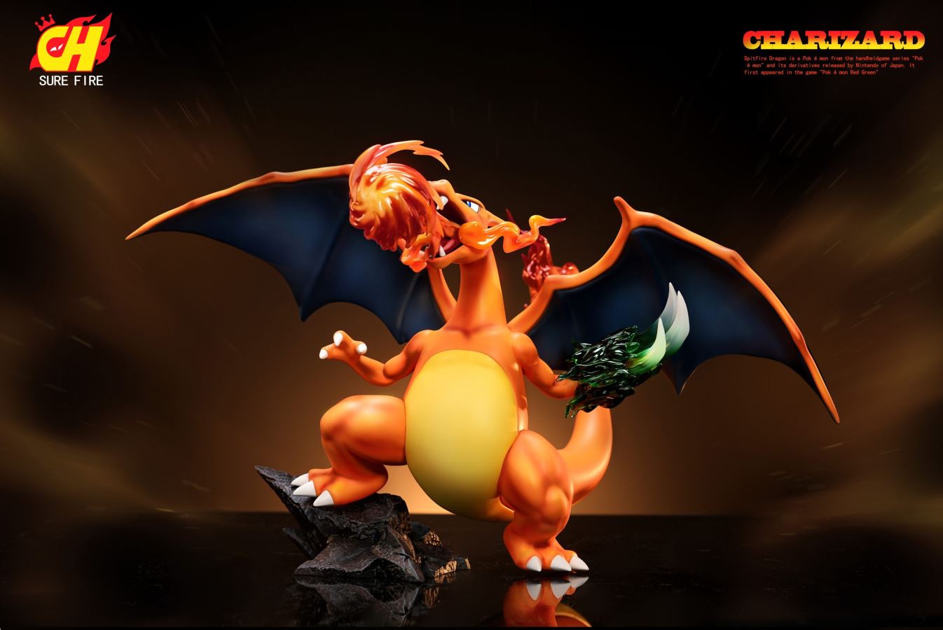 Charizard - Pokemon