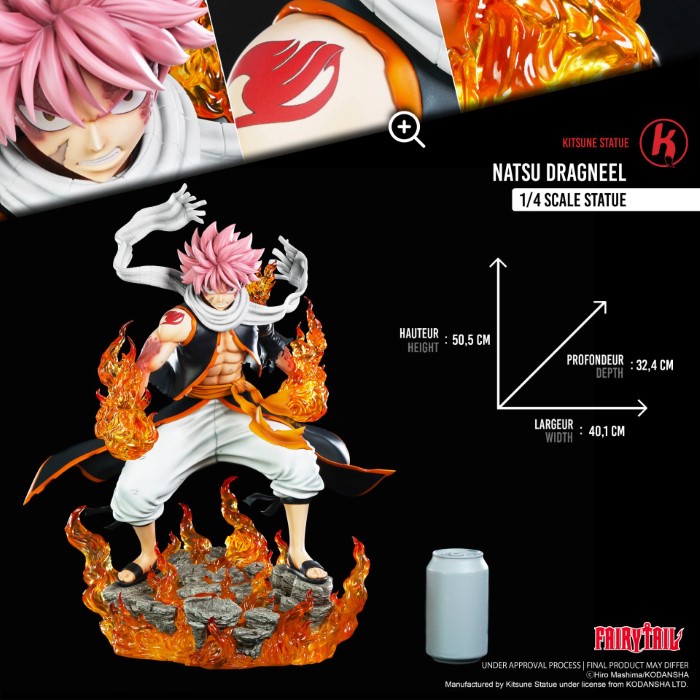 NATSU DRAGNEEL - Fairy Tail [Licensed] 1/4