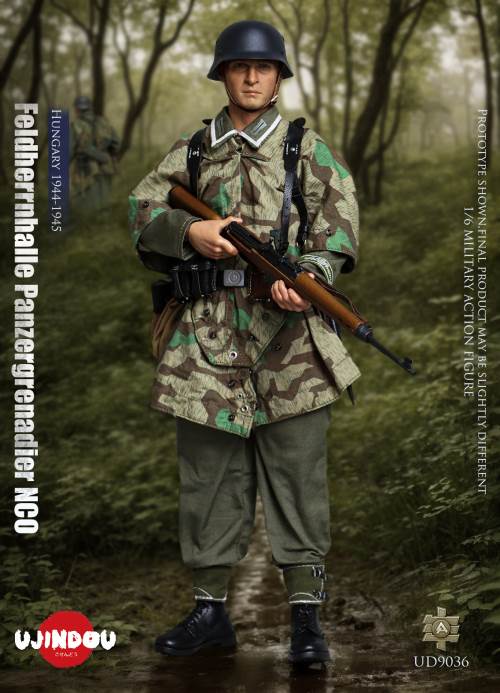 WWII German Commander in Chief Panzergrenadier Sergeant Hungary 1944-1945 1/6