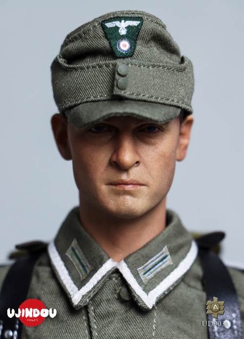 WWII German Commander in Chief Panzergrenadier Sergeant Hungary 1944-1945 1/6