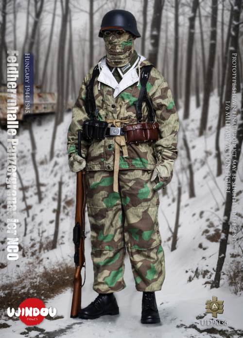 WWII German Commander in Chief Panzergrenadier Sergeant Hungary 1944-1945 1/6