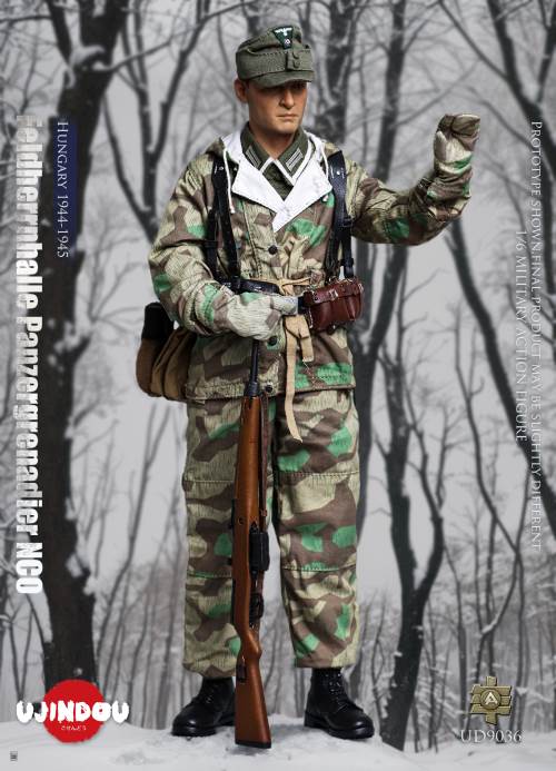 WWII German Commander in Chief Panzergrenadier Sergeant Hungary 1944-1945 1/6