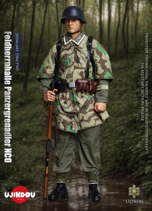 WWII German Commander in Chief Panzergrenadier Sergeant Hungary 1944-1945 1/6