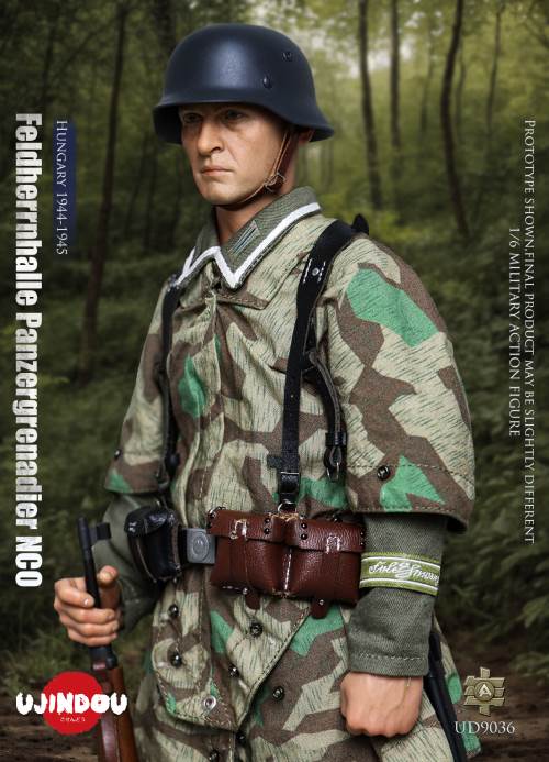 WWII German Commander in Chief Panzergrenadier Sergeant Hungary 1944-1945 1/6