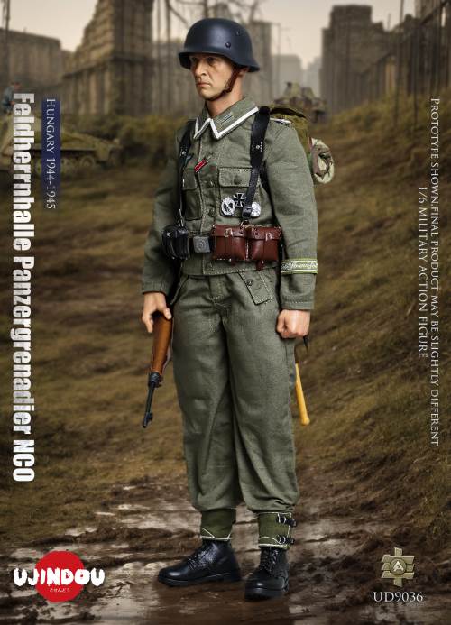 WWII German Commander in Chief Panzergrenadier Sergeant Hungary 1944-1945 1/6