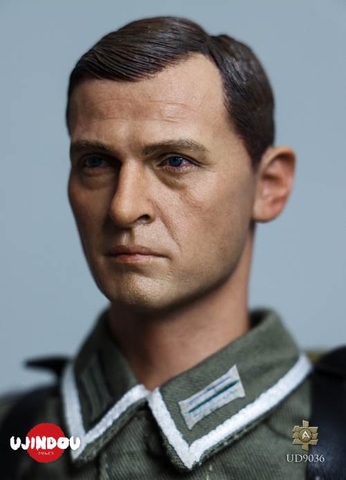 WWII German Commander in Chief Panzergrenadier Sergeant Hungary 1944-1945 1/6