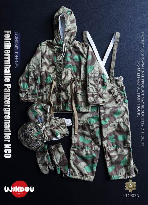 WWII German Commander in Chief Panzergrenadier Sergeant Hungary 1944-1945 1/6