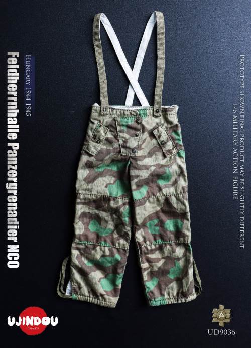 WWII German Commander in Chief Panzergrenadier Sergeant Hungary 1944-1945 1/6