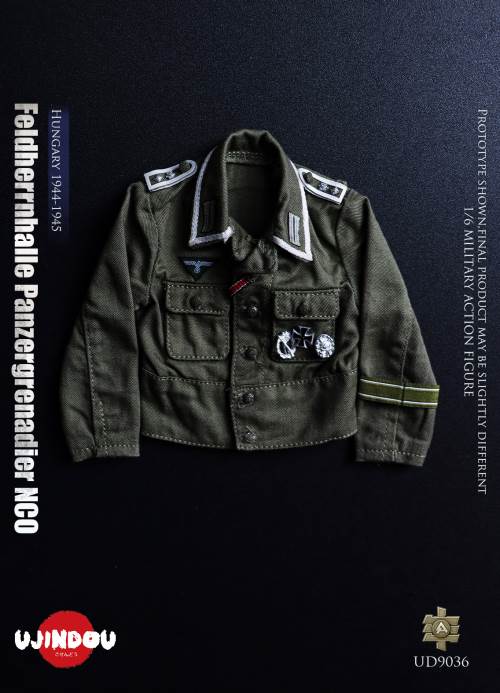 WWII German Commander in Chief Panzergrenadier Sergeant Hungary 1944-1945 1/6