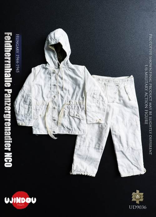 WWII German Commander in Chief Panzergrenadier Sergeant Hungary 1944-1945 1/6