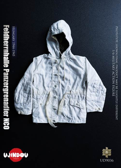 WWII German Commander in Chief Panzergrenadier Sergeant Hungary 1944-1945 1/6