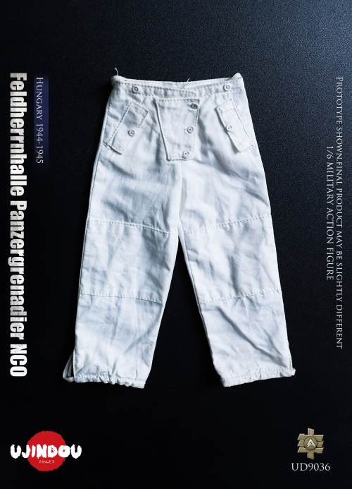 WWII German Commander in Chief Panzergrenadier Sergeant Hungary 1944-1945 1/6