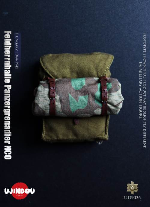 WWII German Commander in Chief Panzergrenadier Sergeant Hungary 1944-1945 1/6