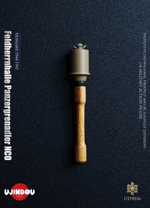 WWII German Commander in Chief Panzergrenadier Sergeant Hungary 1944-1945 1/6