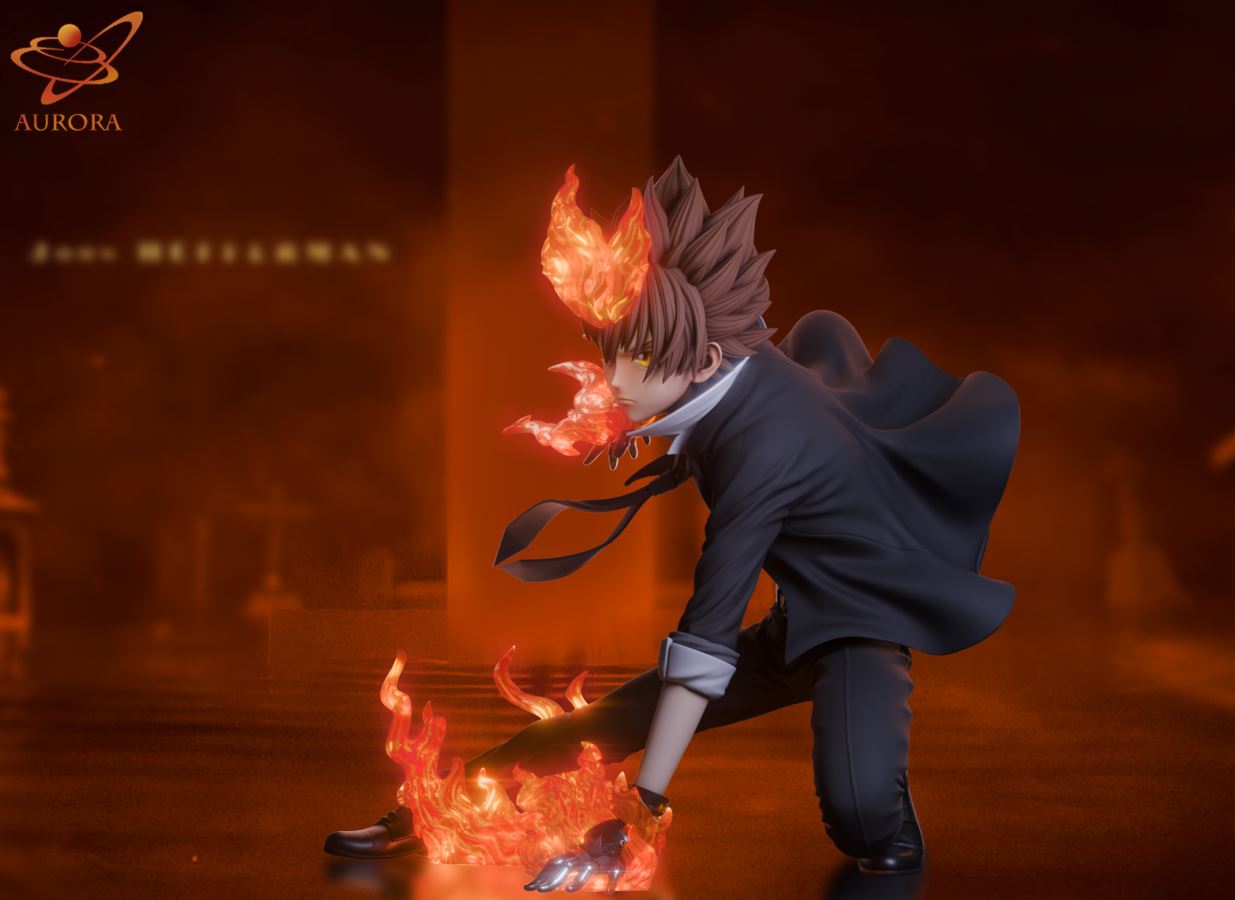 Sawada Tsunayoshi - Reborn 1/6