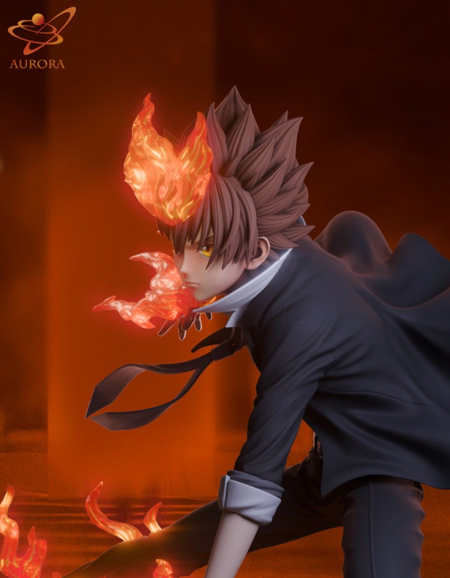 Sawada Tsunayoshi - Reborn 1/6