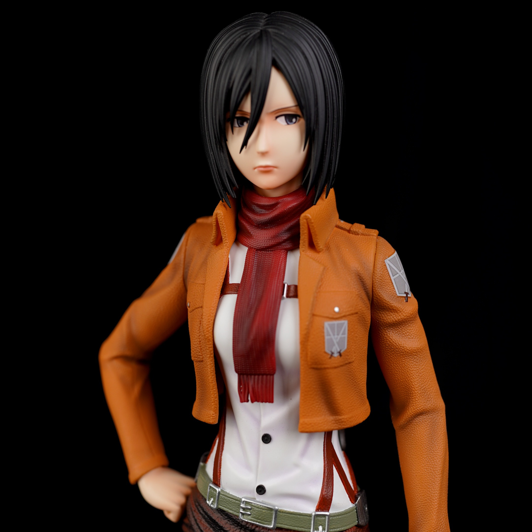 Mikasa Ackerman  & Instructor - Attack On Titan 1/6