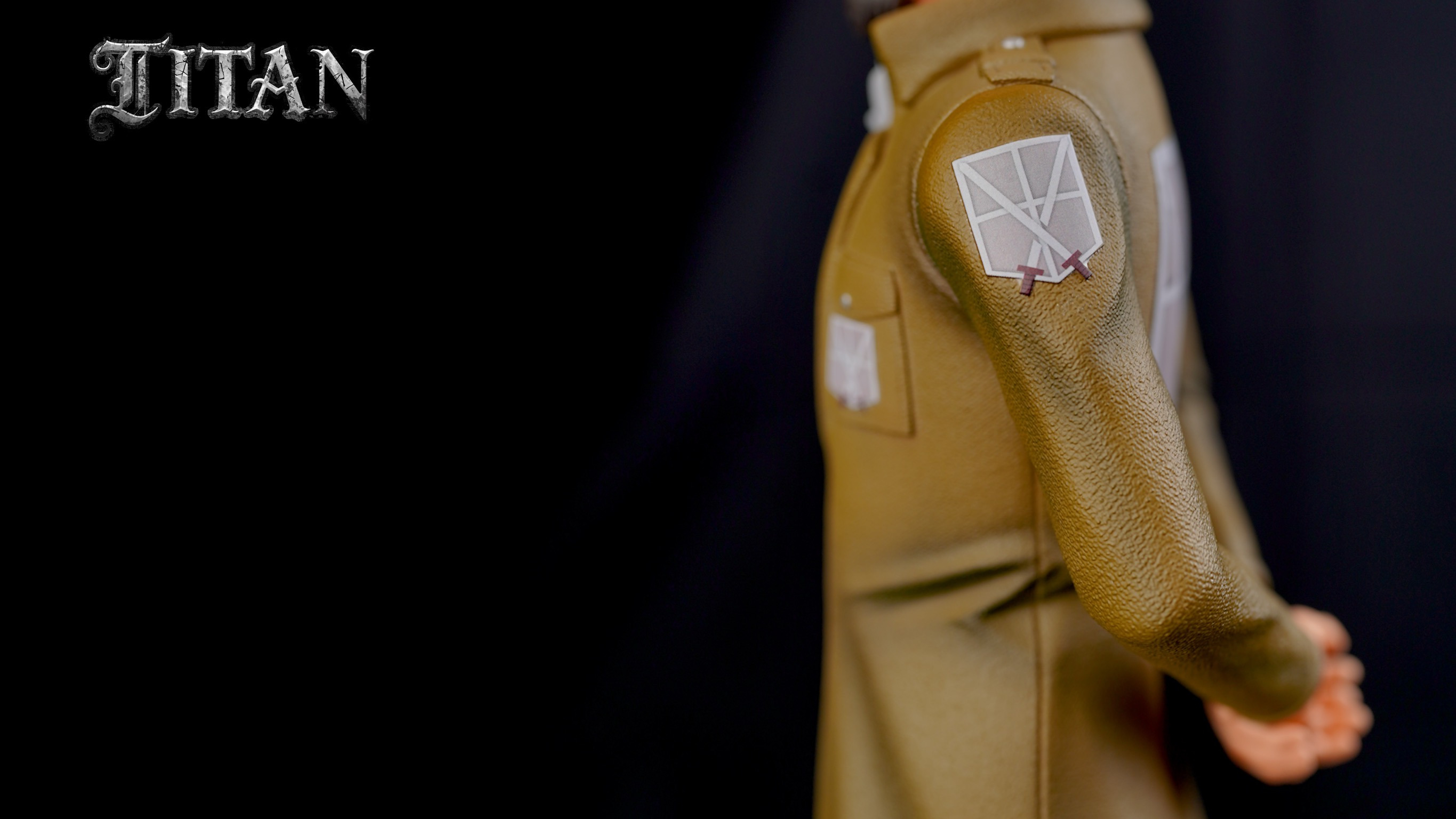 Mikasa Ackerman  & Instructor - Attack On Titan 1/6