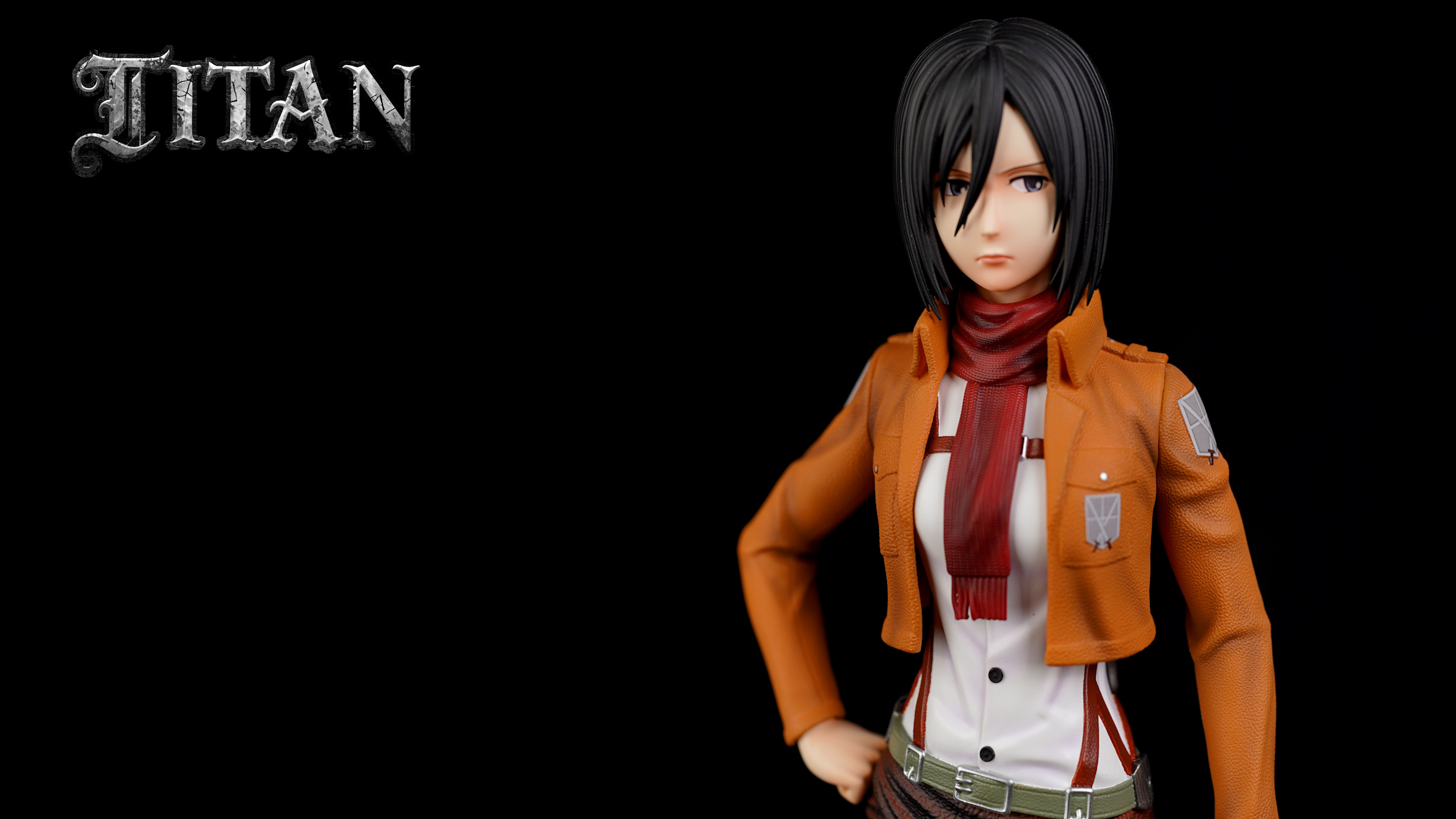 Mikasa Ackerman  & Instructor - Attack On Titan 1/6