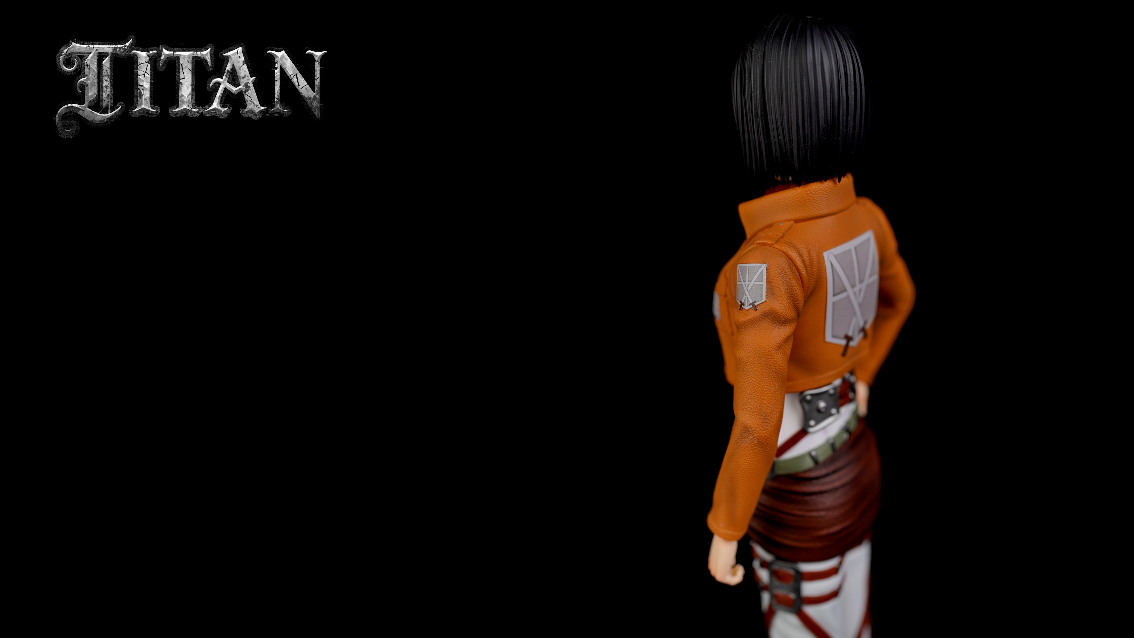 Mikasa Ackerman  & Instructor - Attack On Titan 1/6