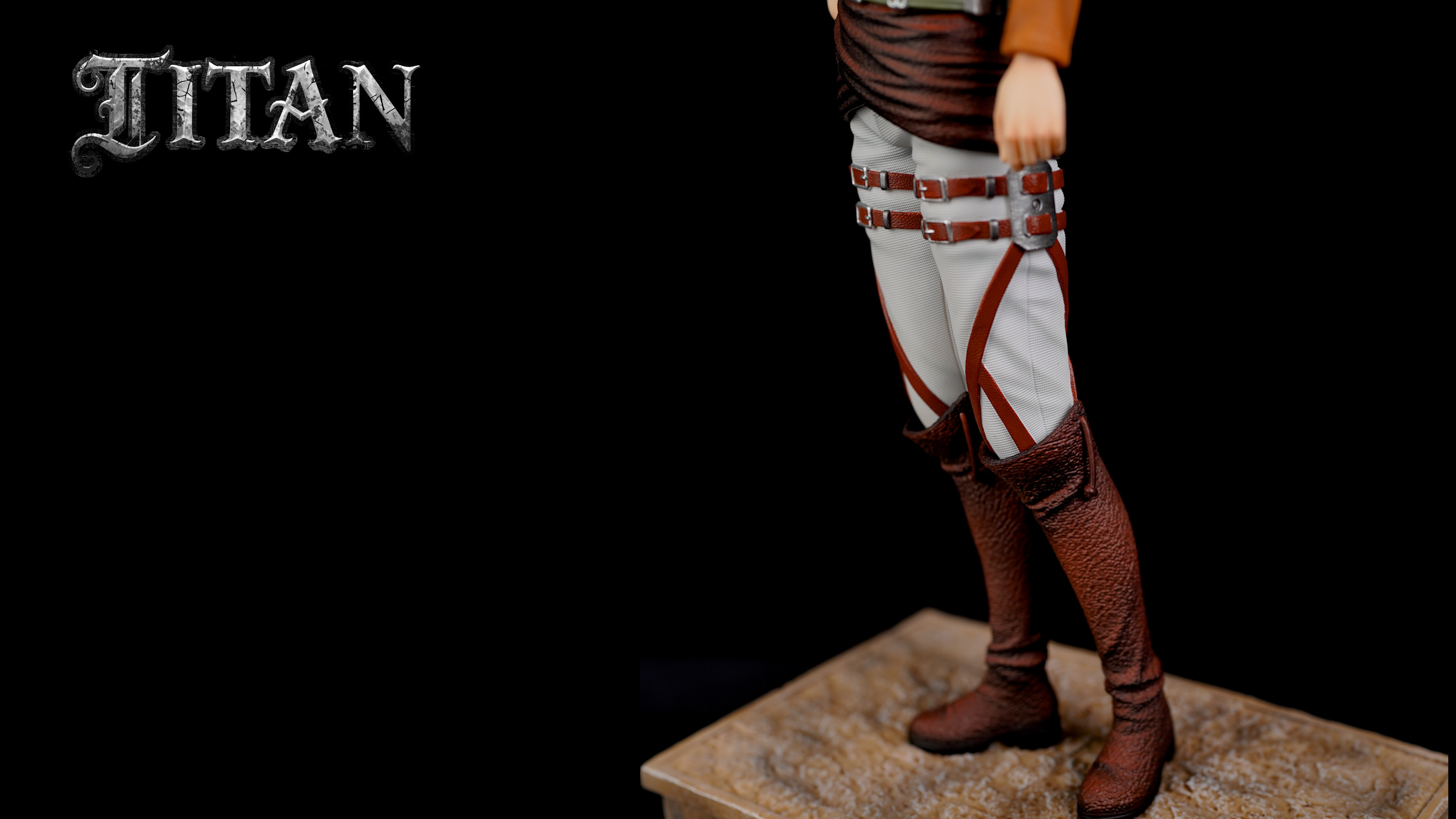 Mikasa Ackerman  & Instructor - Attack On Titan 1/6