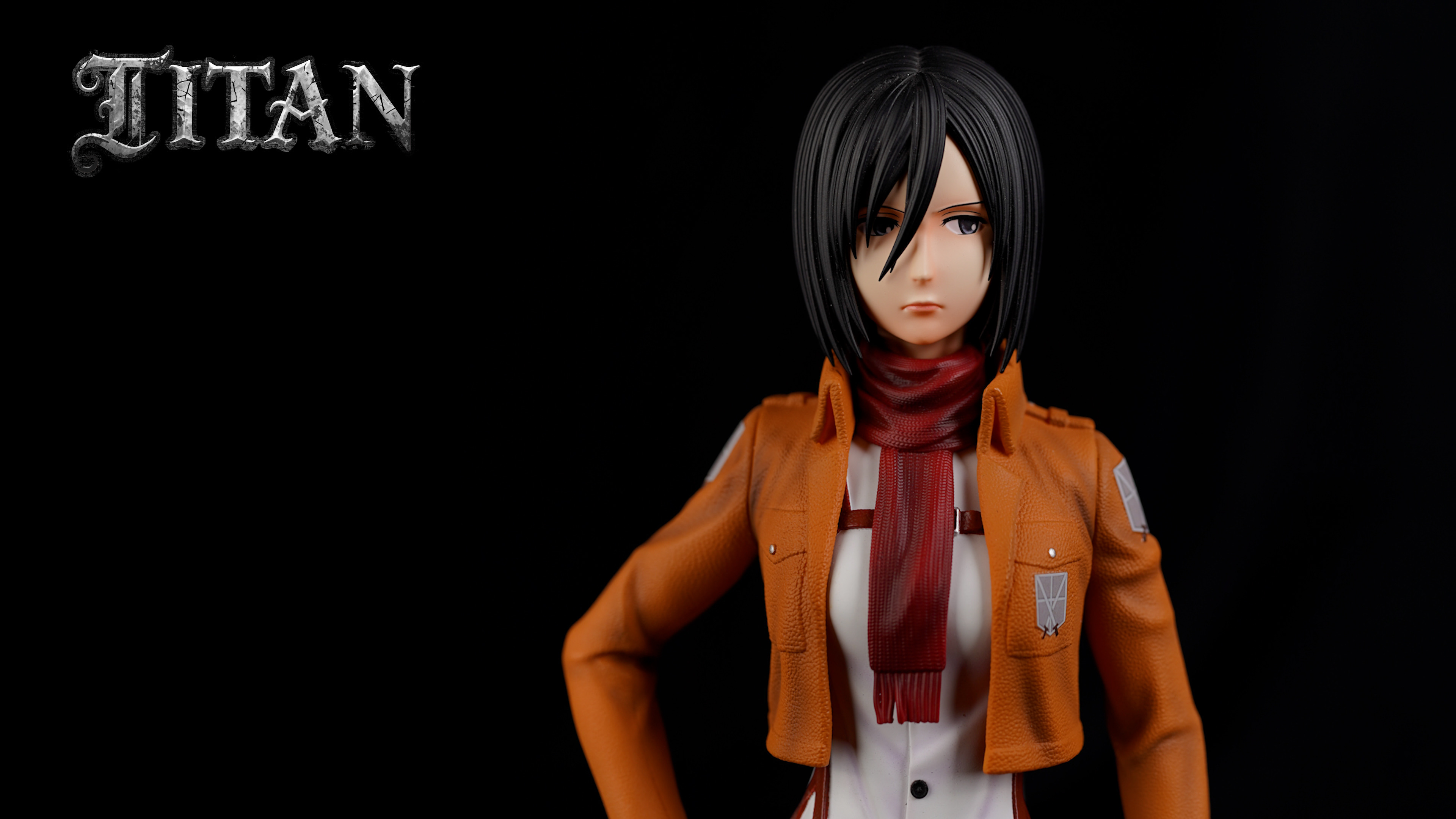 Mikasa Ackerman  & Instructor - Attack On Titan 1/6
