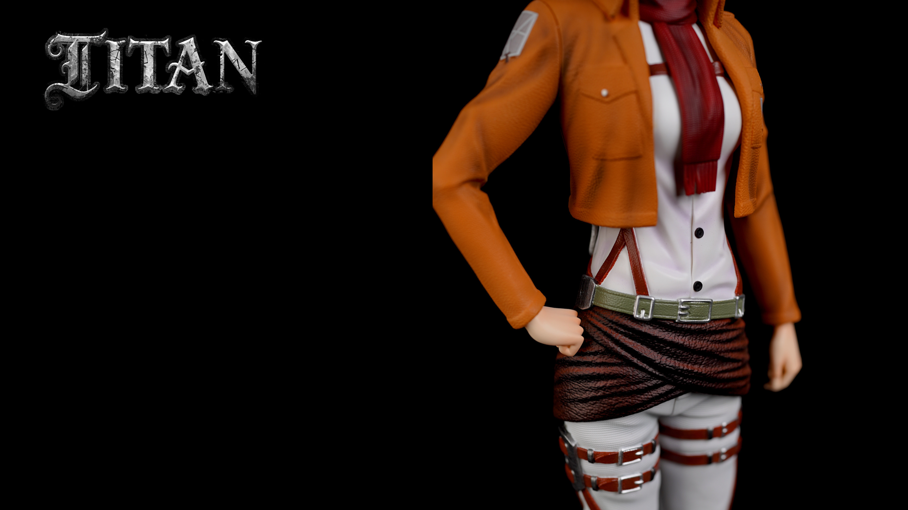 Mikasa Ackerman  & Instructor - Attack On Titan 1/6