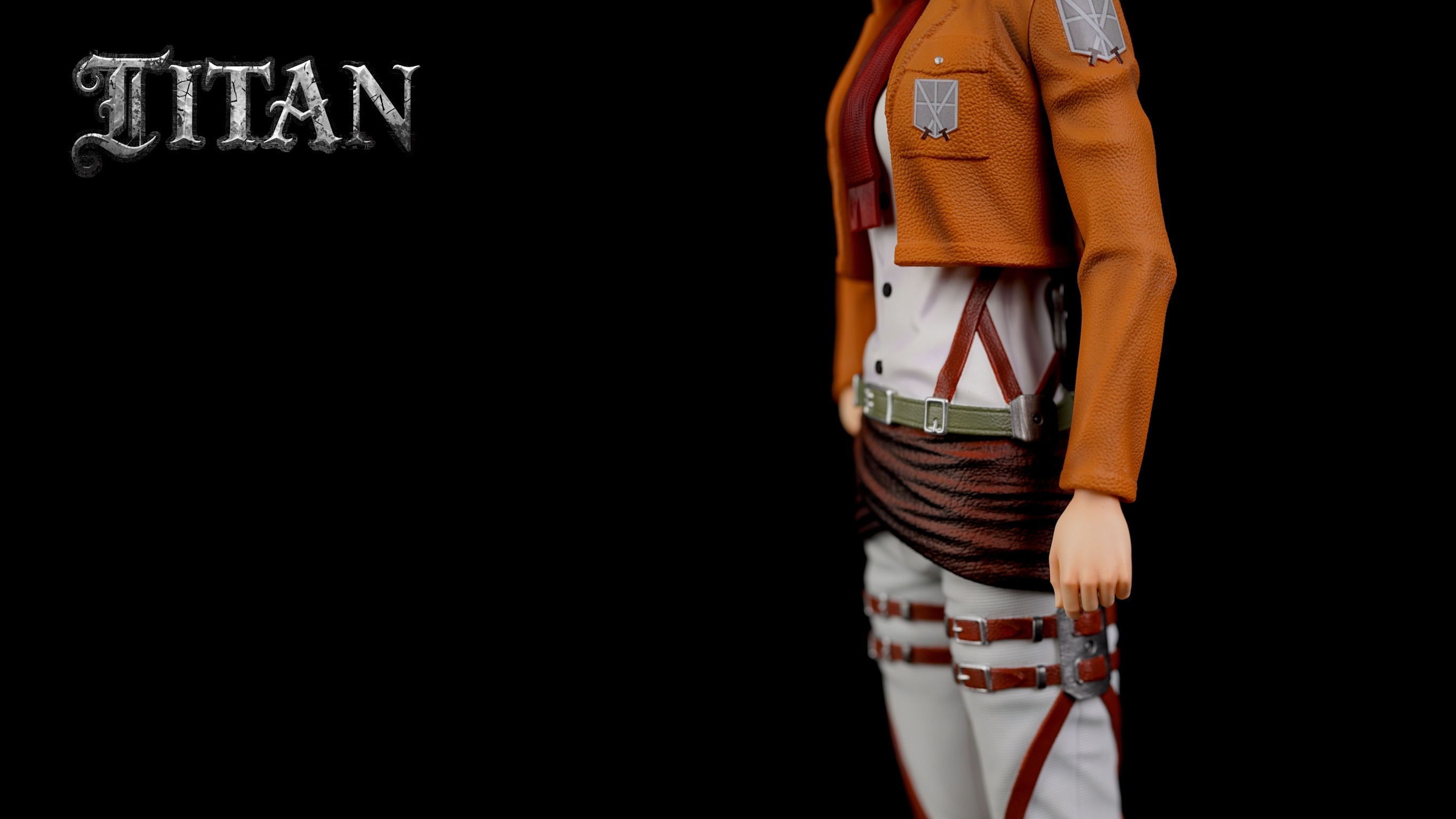 Mikasa Ackerman  & Instructor - Attack On Titan 1/6