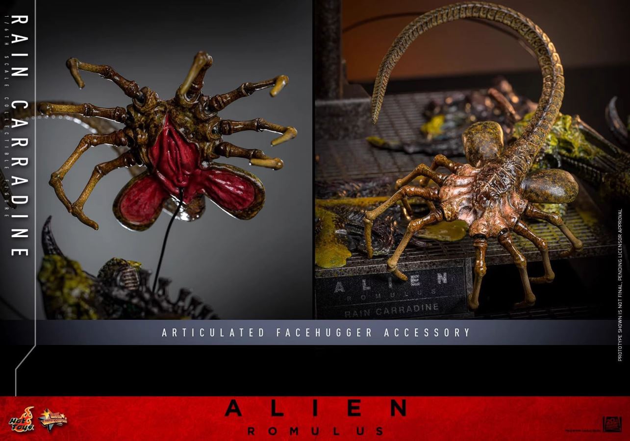 Rain-Alien: Romulus 1/6