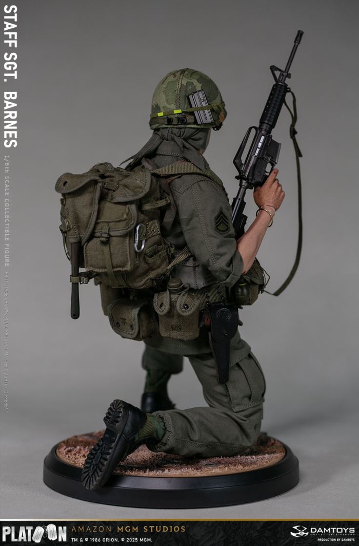Platoon Vietnam War Sergeant Barnes 1/6