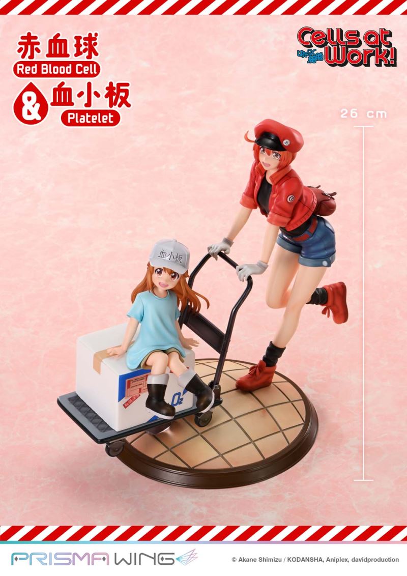 Cells at Work Red Blood Cell & Platelet
