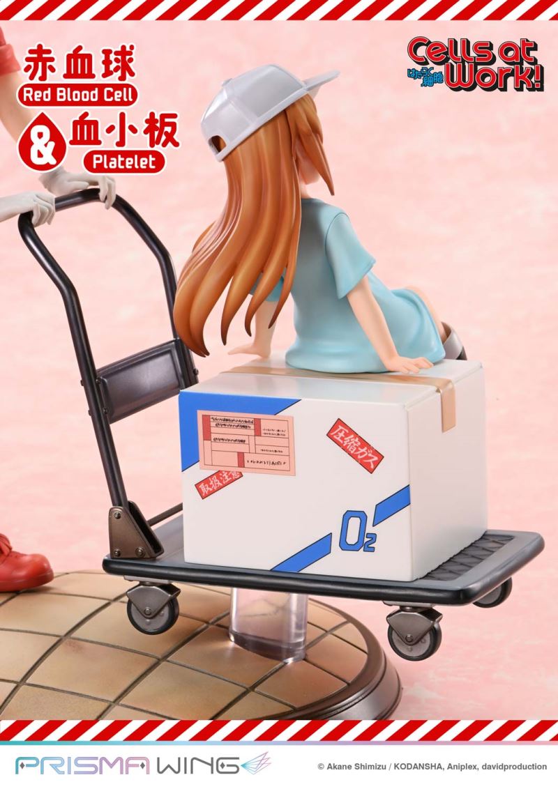 Cells at Work Red Blood Cell & Platelet