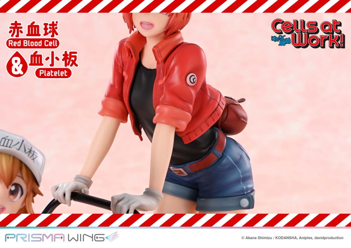 Cells at Work Red Blood Cell & Platelet