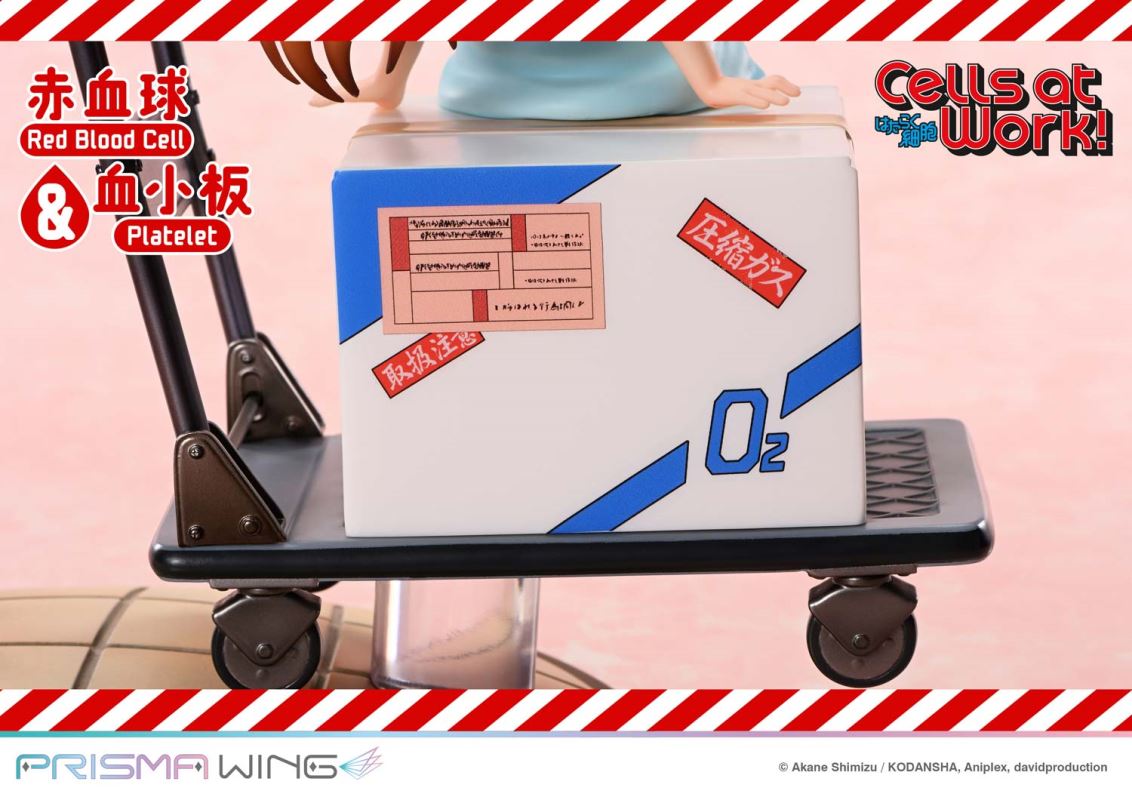 Cells at Work Red Blood Cell & Platelet