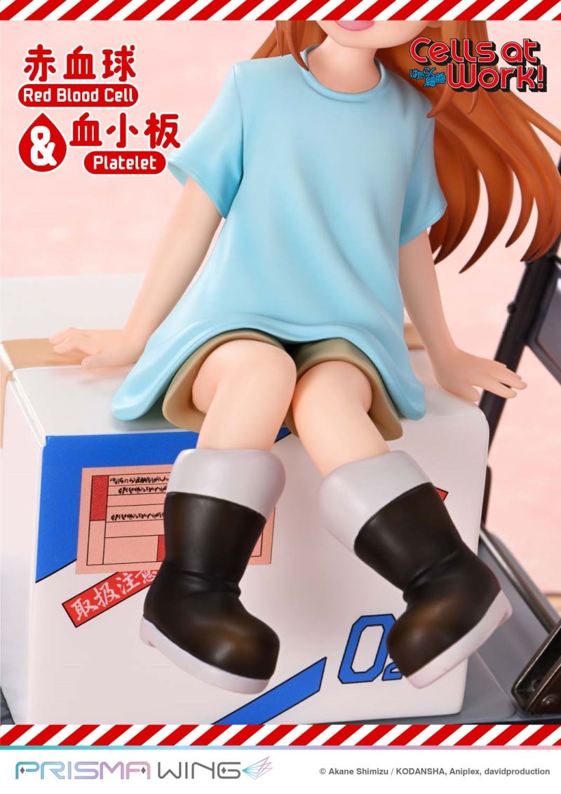 Cells at Work Red Blood Cell & Platelet