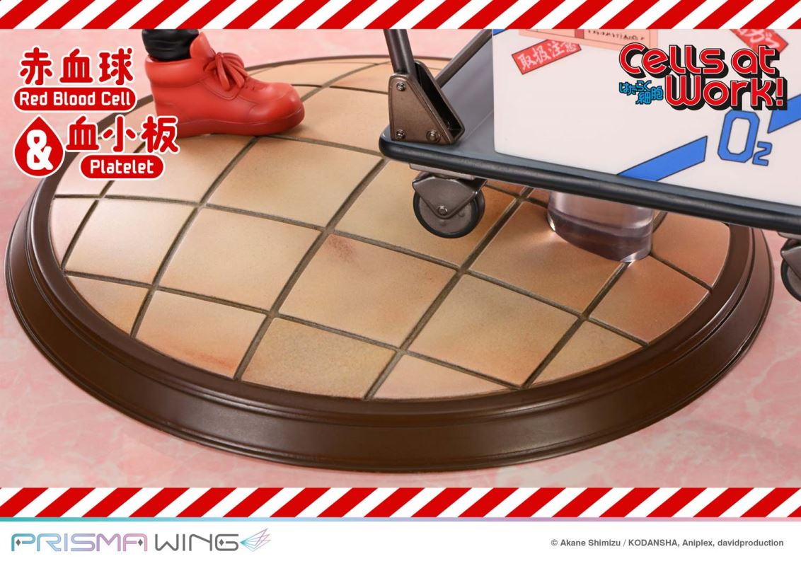 Cells at Work Red Blood Cell & Platelet