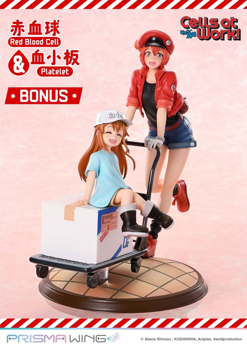 Cells at Work Red Blood Cell & Platelet