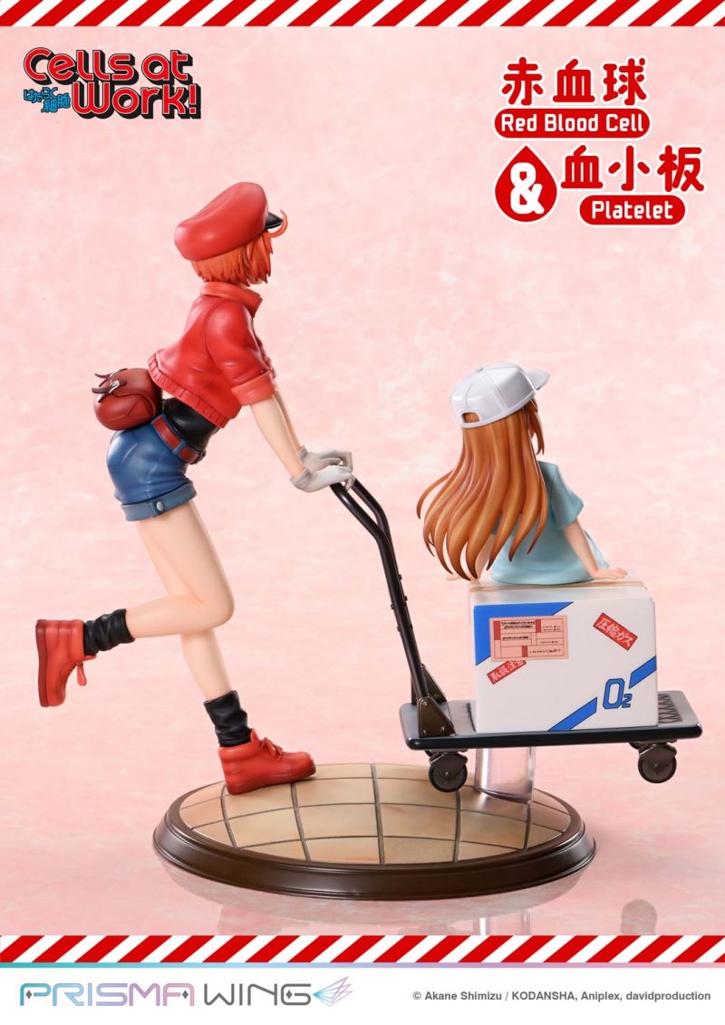 Cells at Work Red Blood Cell & Platelet