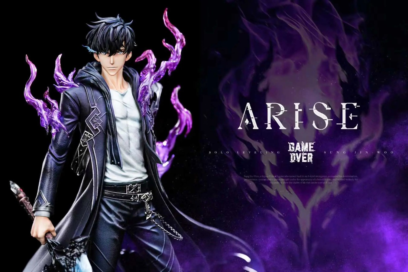 Shadow Monarch Sung Jin-Woo - Solo Leveling