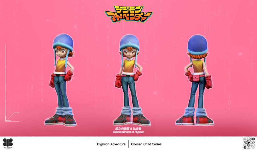 Sora Takenouchi and Piyomon - Digimon