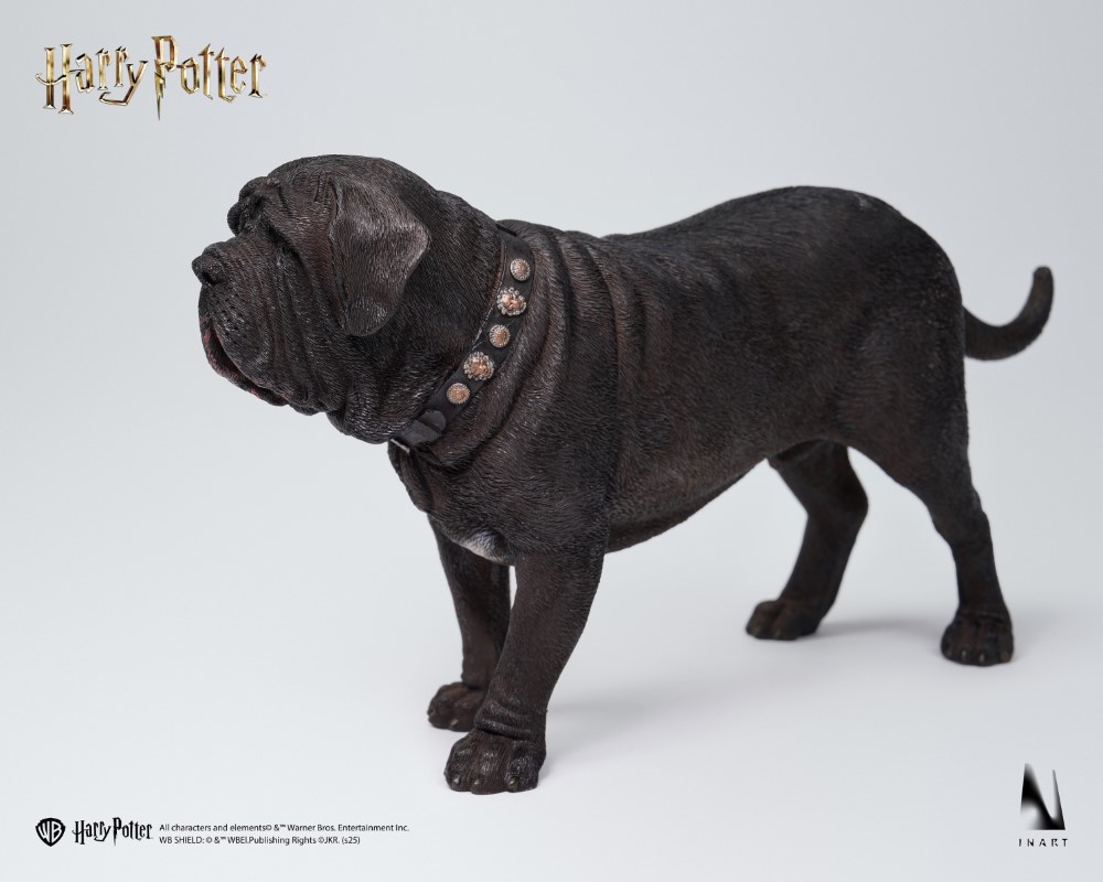 Draco Malfoy - Harry Potter and the Philosopher's Stone 1/6