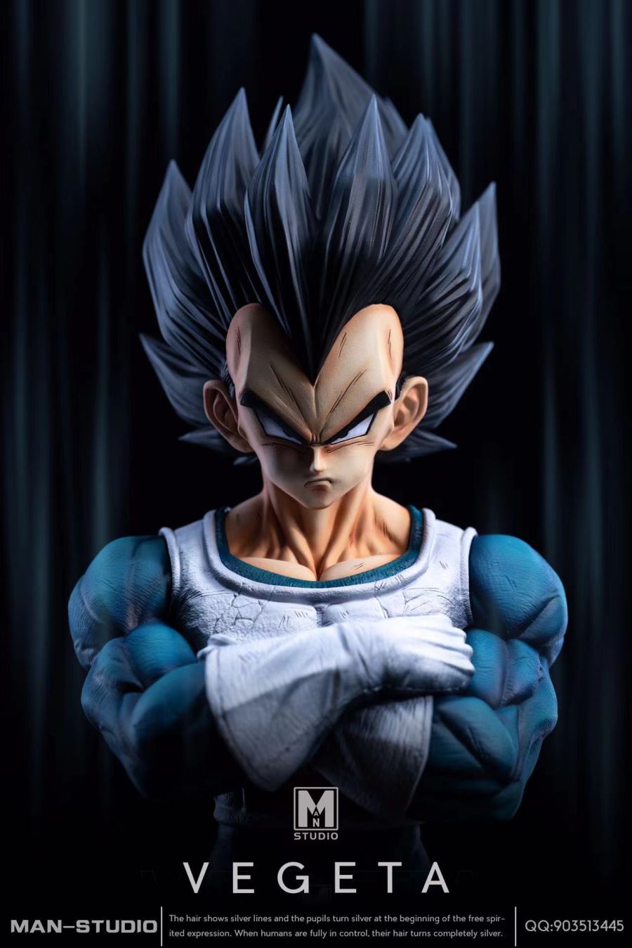 VEGETA - Dragon Ball