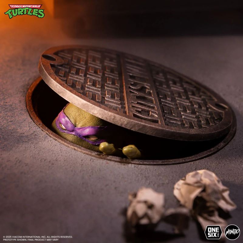 Teenage Mutant Ninja Turtles: Donatello 1/6