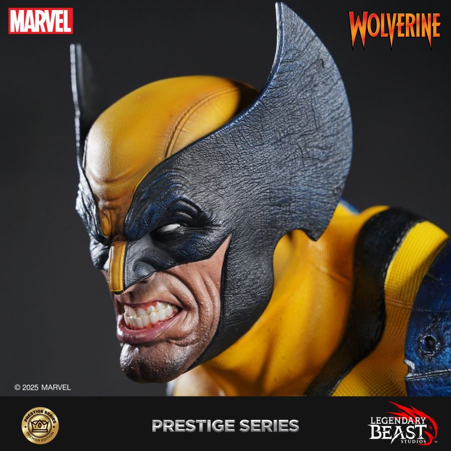 Wolverine 1/3