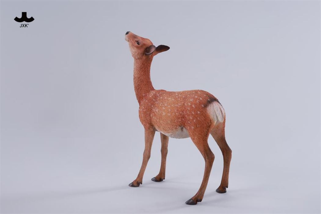 Nara Deer