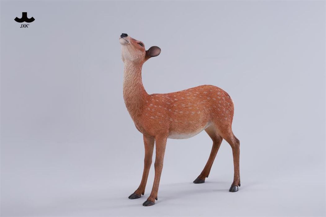 Nara Deer