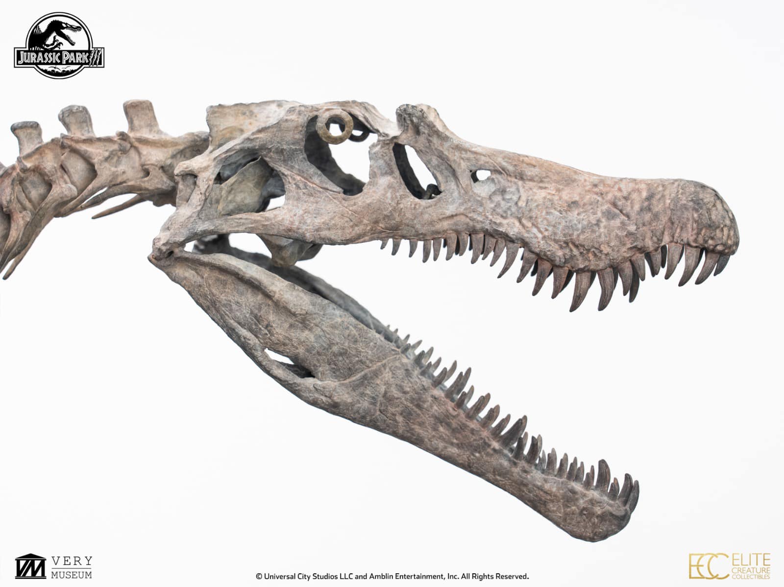 Bronze Spinosaurus Skeleton - Jurassic Park III 1/12