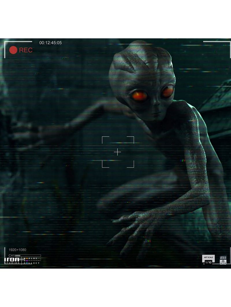 ET Varginha - I Want to Believe - Art Scale 1/10