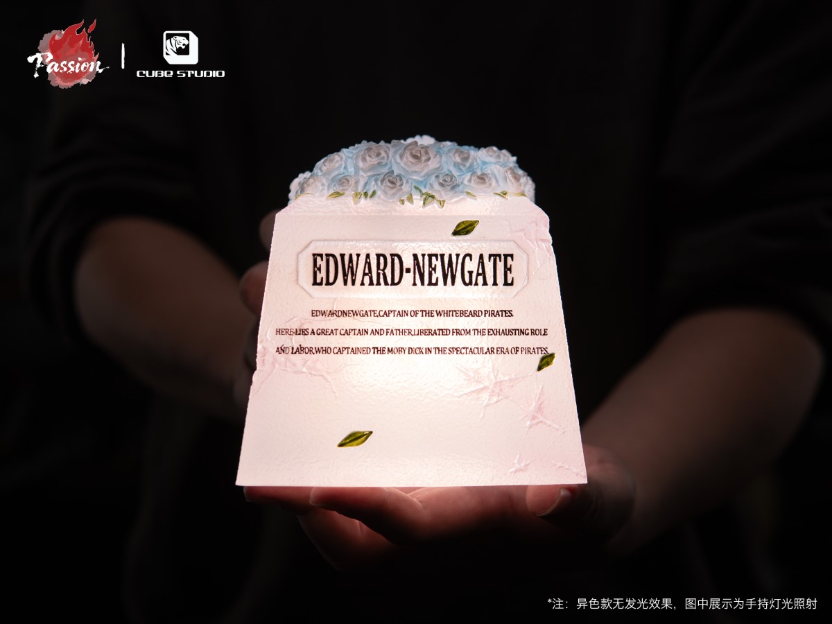 The end of Whitebeard and ACE